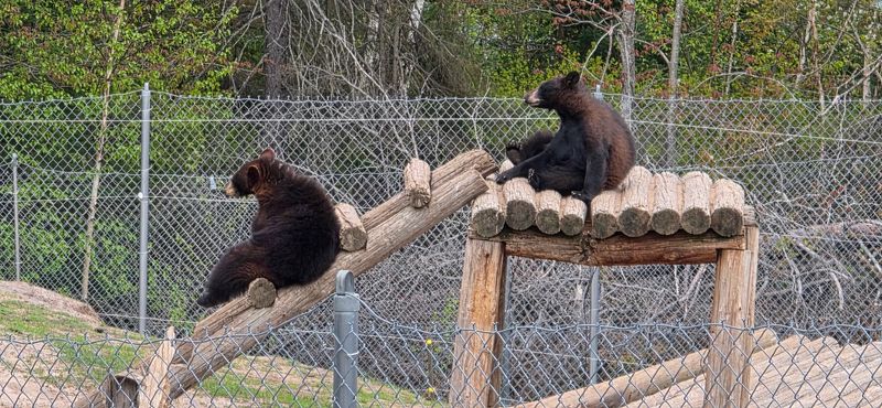 Gift Shop Finds and Takeaways