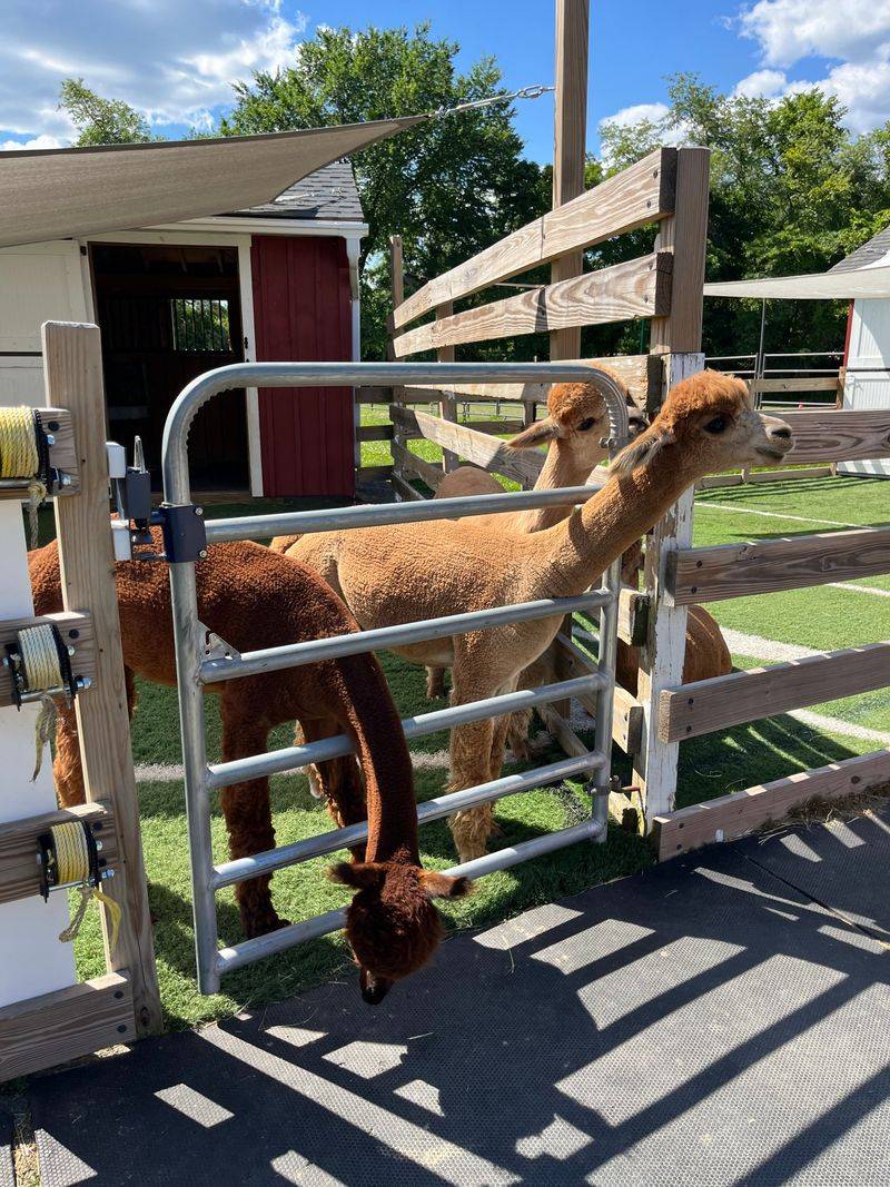 Best Times of Day to Visit