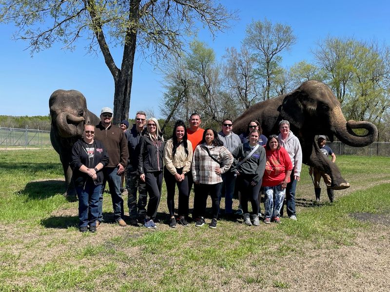 The Staff: The Humans Who Make It All Work