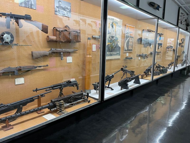 Educational Value for All Ages