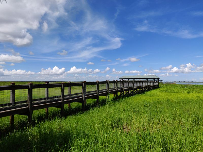 Best times, weather, and lighting