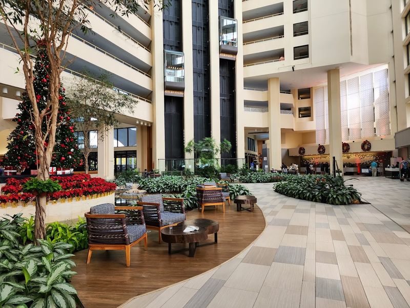 Merlot the Parrot: The Lobby's Famous Feathered Host