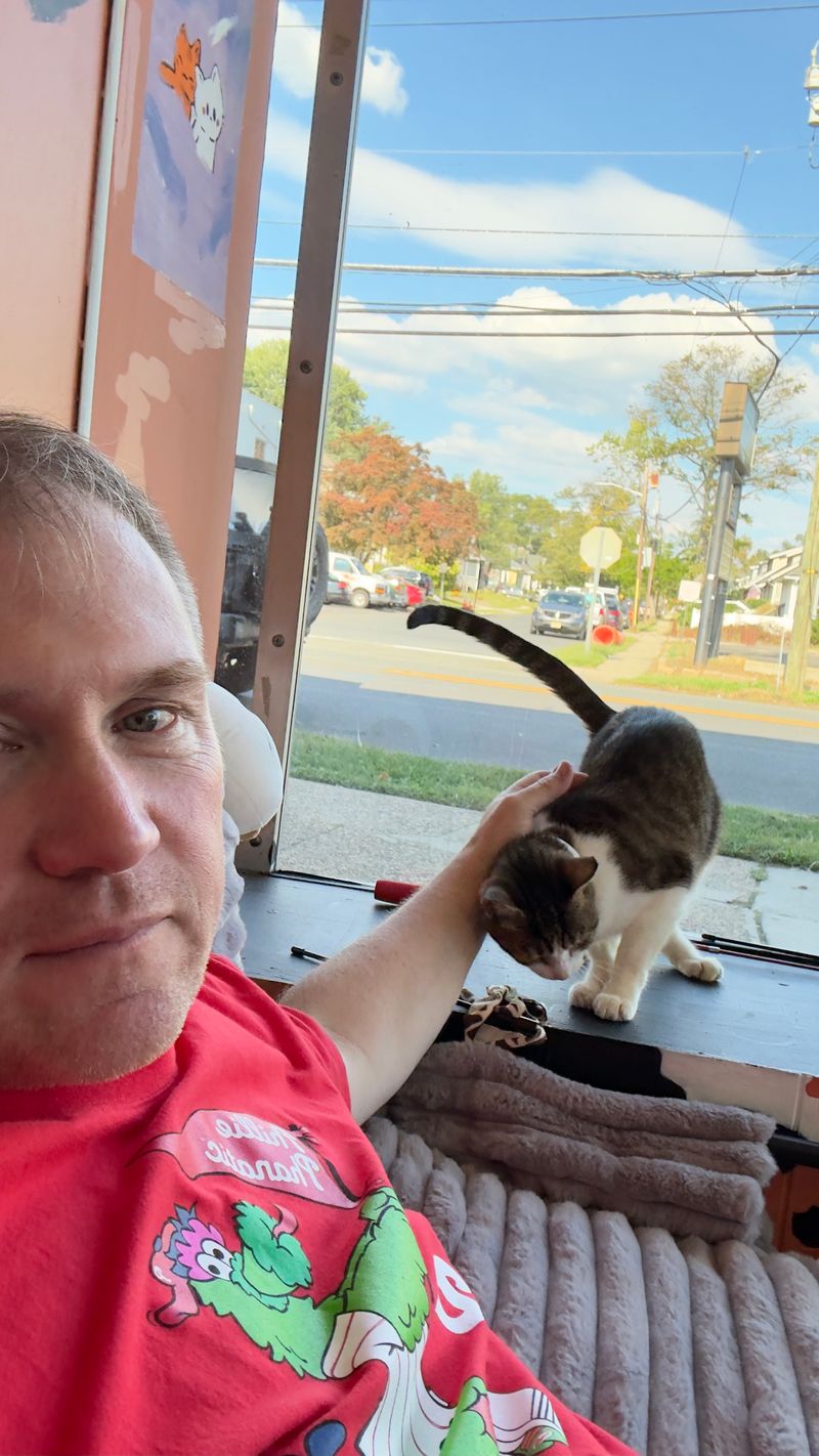 Best Seats For Cat Cuddles