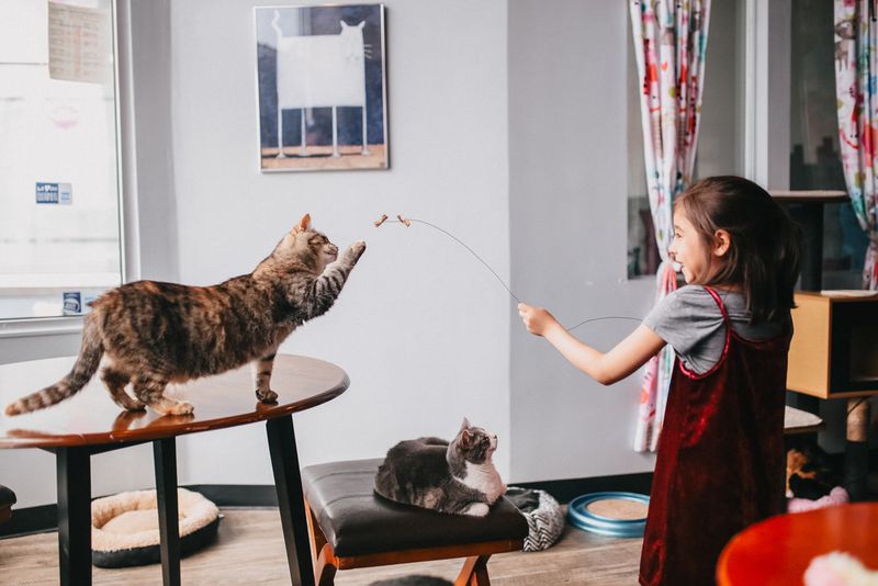 Safety You Can Feel Without Reading The Sign