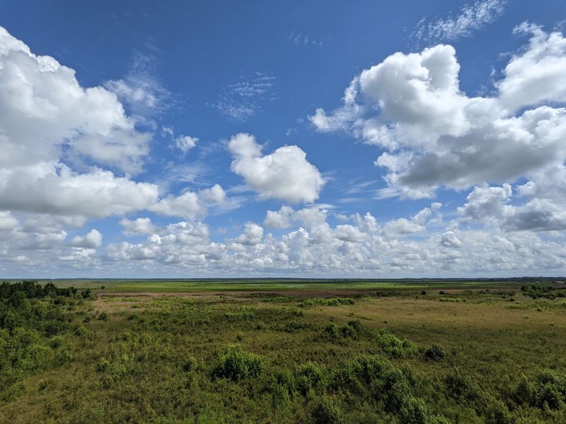 Observation Tower Panorama