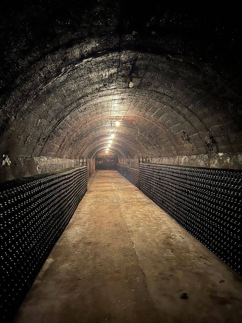 Champagne Region — Sparkling Heritage and Countryside