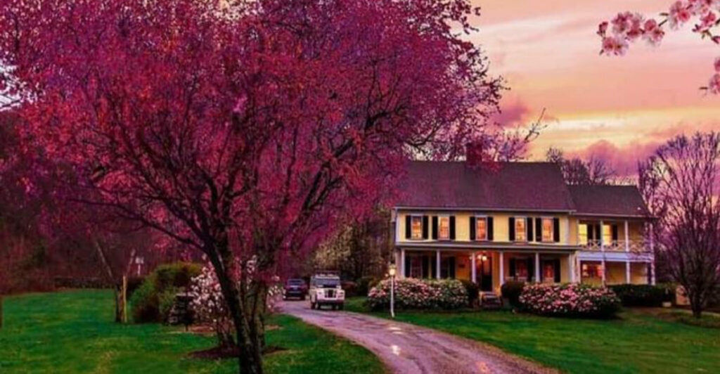 America’s Most Romantic State Has Been Revealed – And It’s a Total Surprise