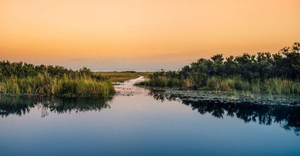 America’s Wildest Region Isn’t Alaska – and That Surprises Everyone