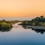 America’s Wildest Region Isn’t Alaska – and That Surprises Everyone