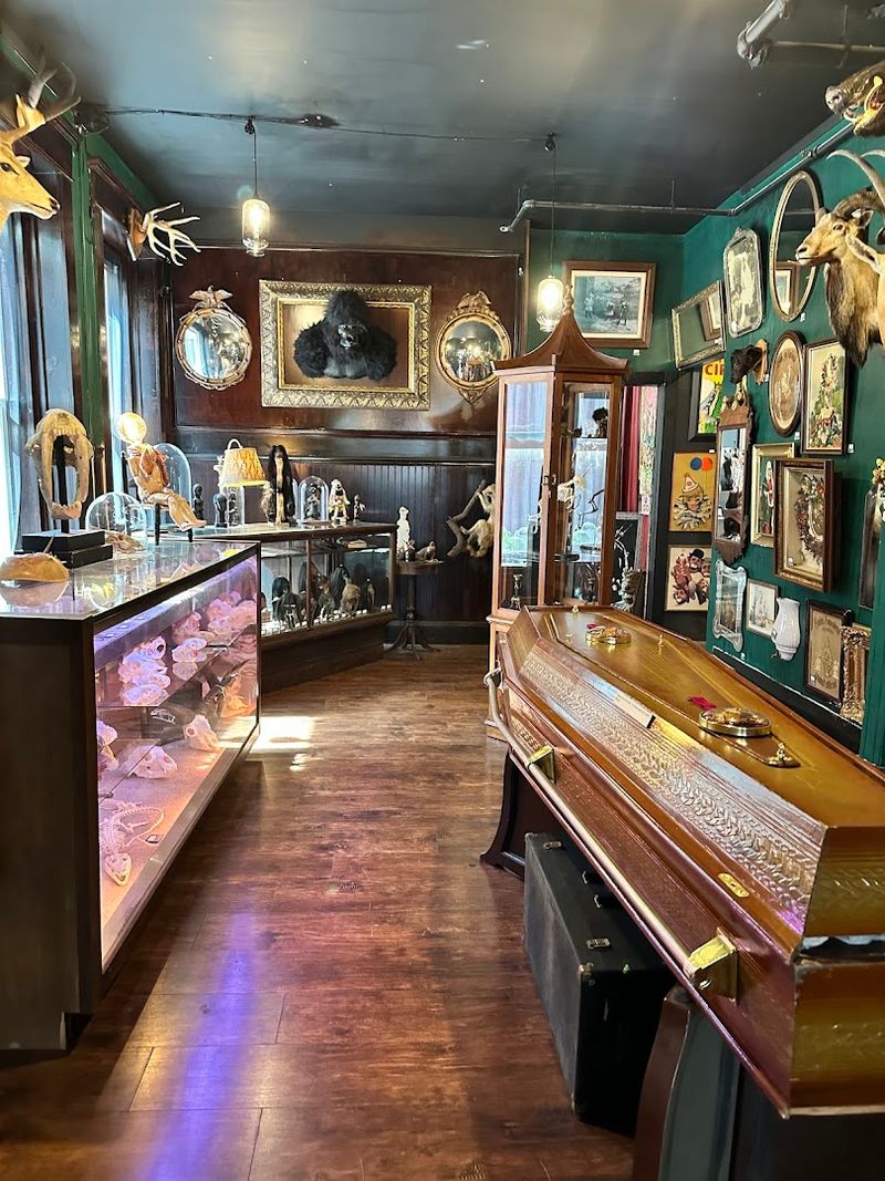 The Attached Museum With a Five-Dollar Donation