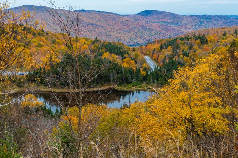 It Was Shaped by Extraction, Not Isolation