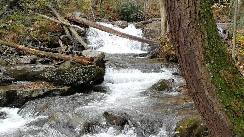 Wildlife, Trout, And Quiet Moments
