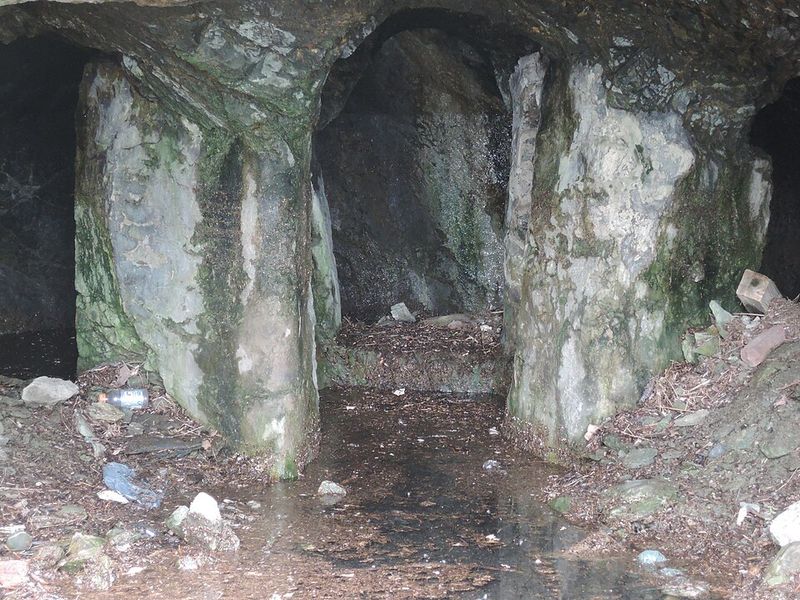 Practical Visiting Tips