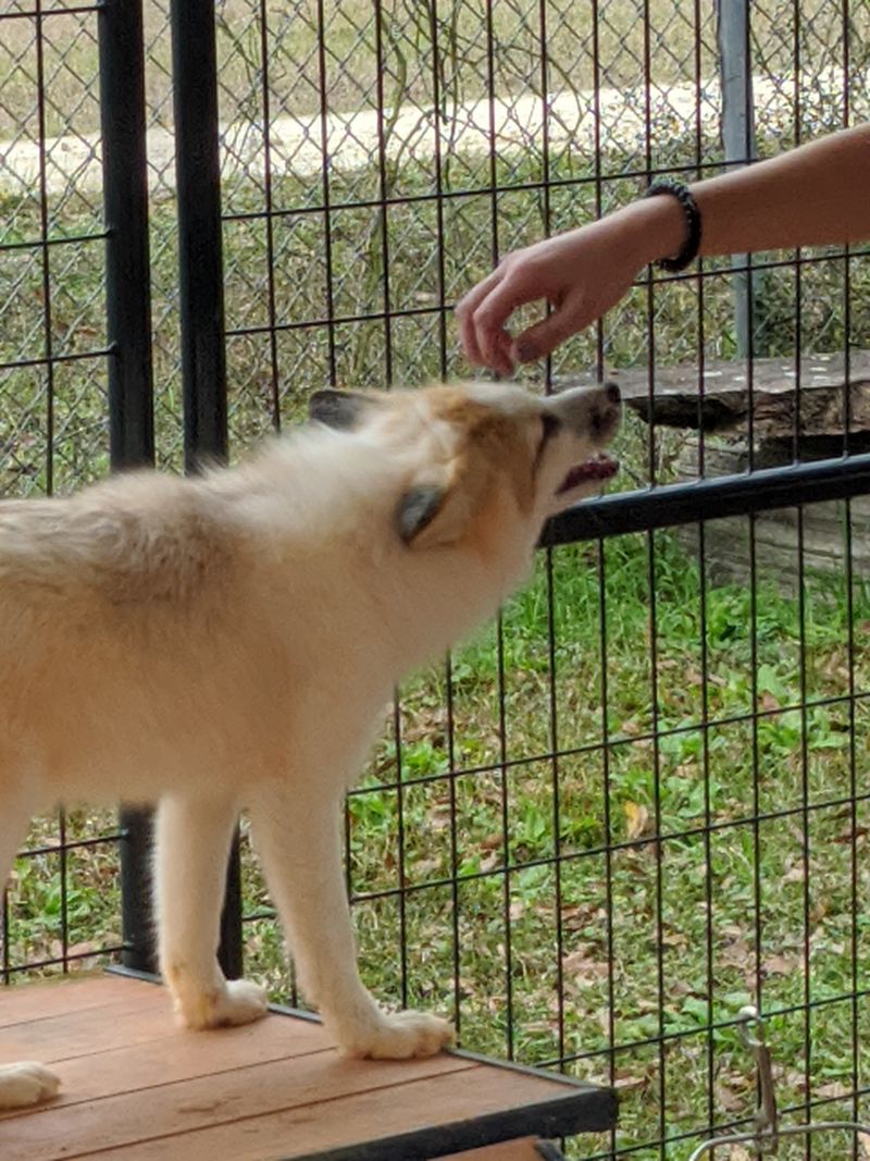 Small Moments With Paws and Whiskers