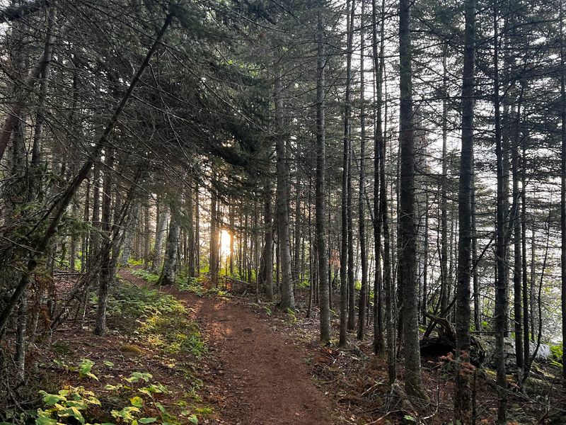 Greenstone Ridge Underfoot