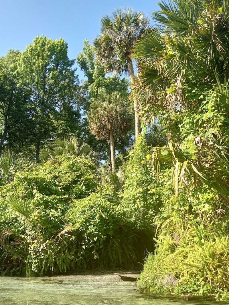 Wildlife That Shows Up Without an Appointment