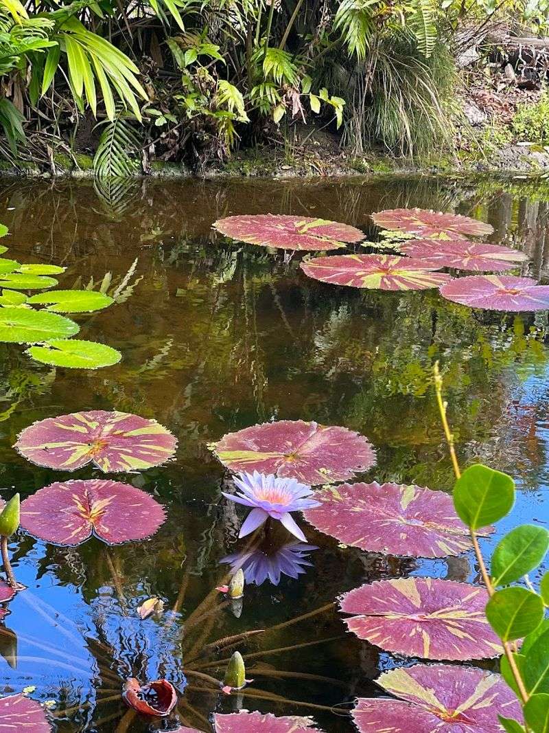The Legendary Water Features and Reflective Pools