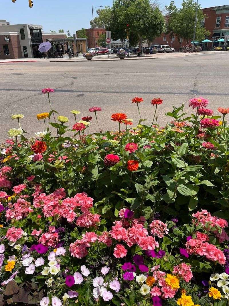 Fort Collins, Colorado