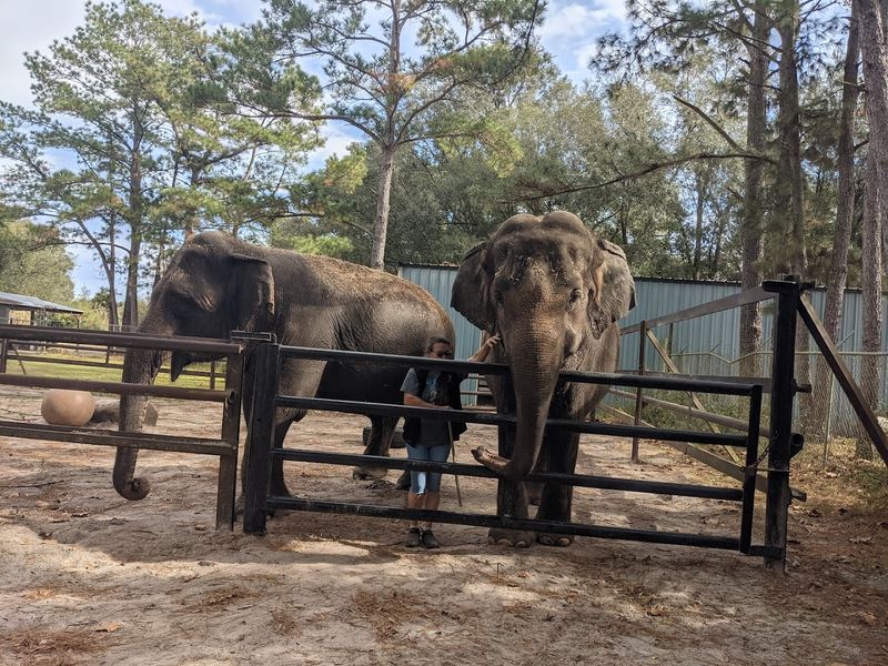 The Educational Tour Format