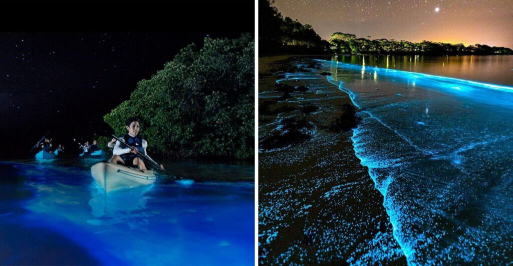 At Night, This Florida Lagoon Lights Up In An Electric Blue Glow