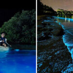 At Night, This Florida Lagoon Lights Up In An Electric Blue Glow