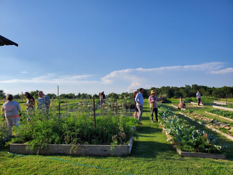 A Real Working Farm That Feeds You