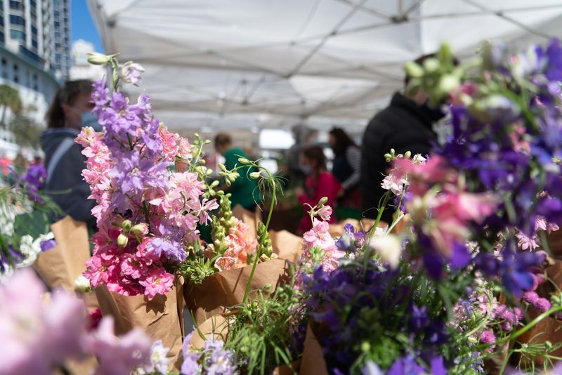 Plants, Flowers, and Green Things Galore
