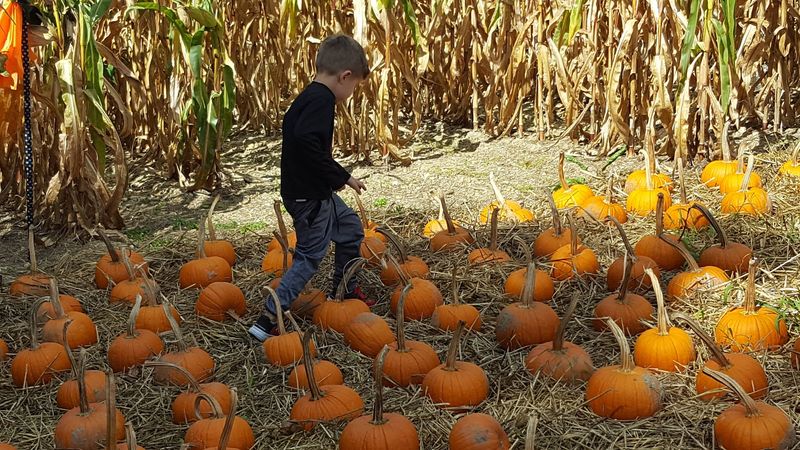 Seasonal Fun and Family Activities