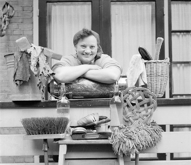 Vinegar for Streak-Free Windows