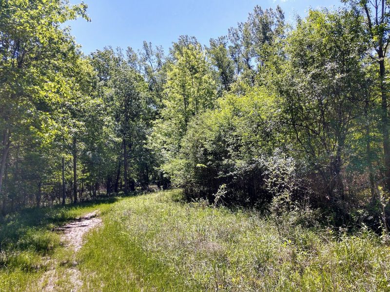 Hiking Trails That Put You Right in the Middle of It All