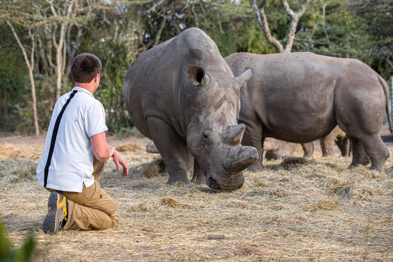 Ol Pejeta Conservancy - Kenya