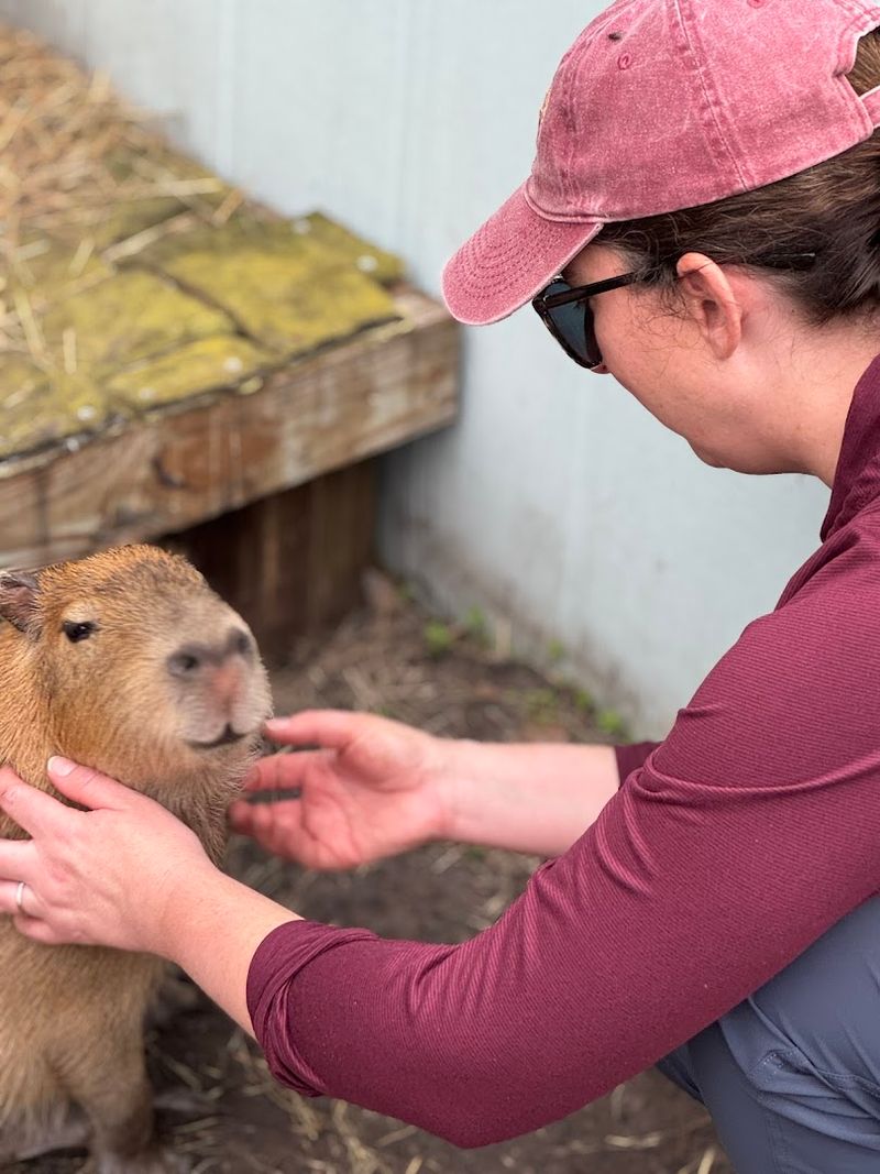 Education That Sticks