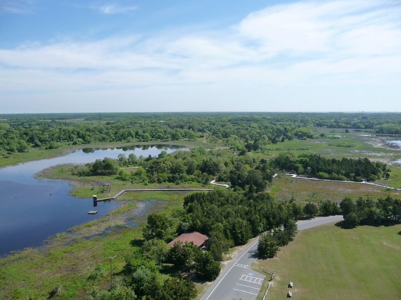 Bird Migration and Nature Notes