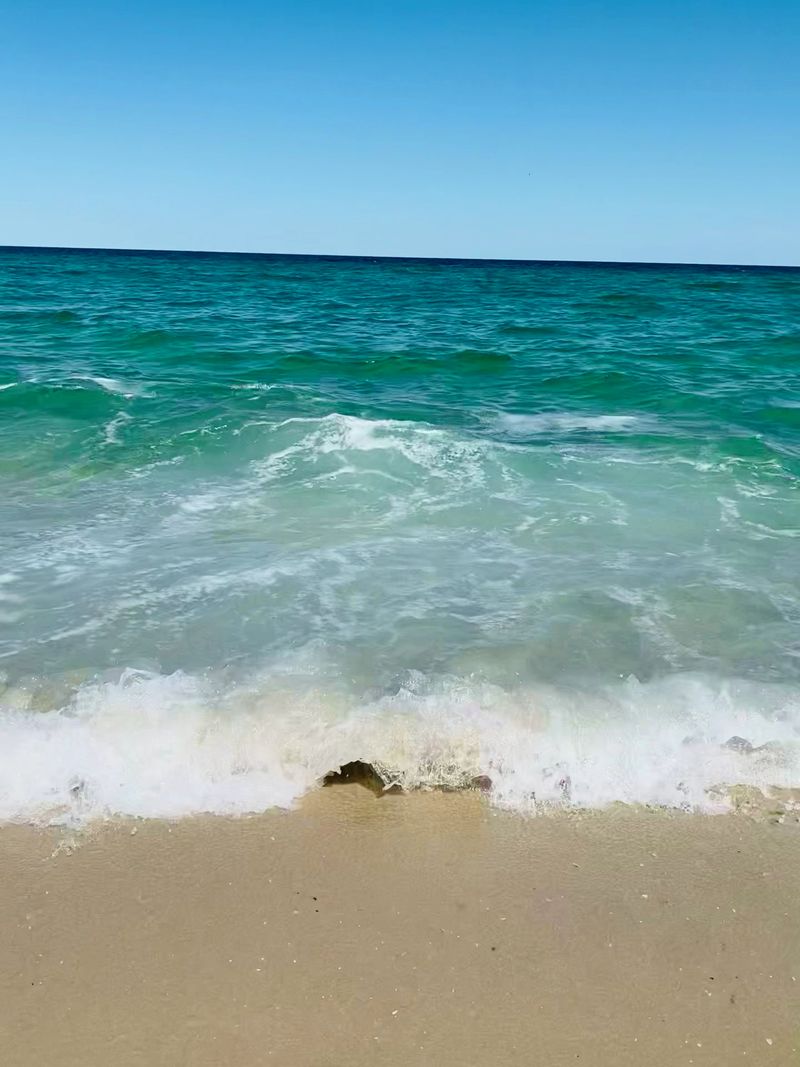 Swimming and Surf Conditions