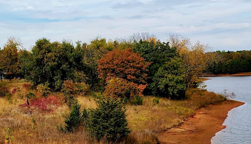 Outdoor Spaces and Natural Beauty Nearby