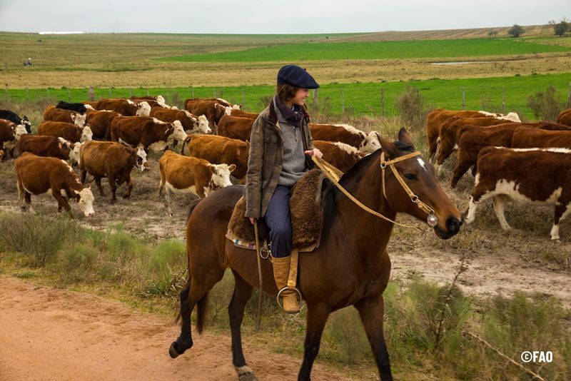 Uruguay built trust with traceability - before it was trendy