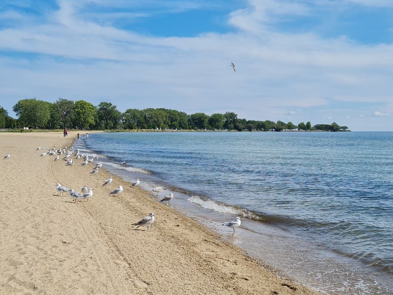 Lake St. Clair Metropark, Macomb County