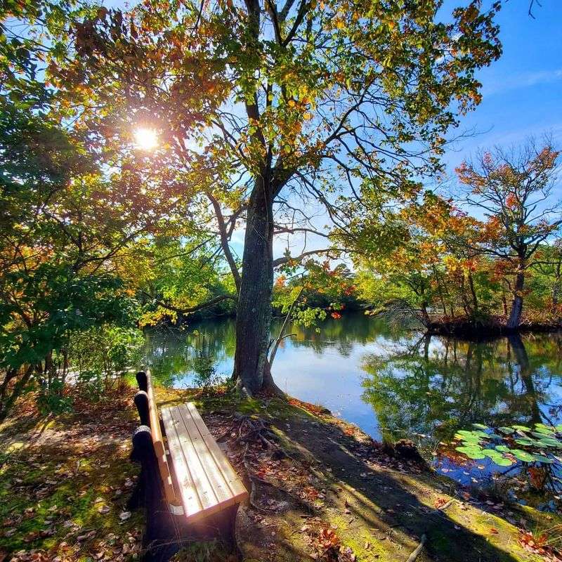 What the Staff Brings to the Experience