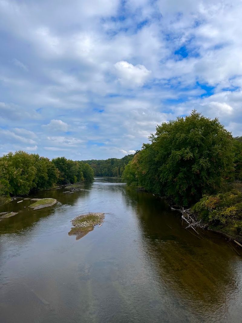 Wildlife You Might Encounter