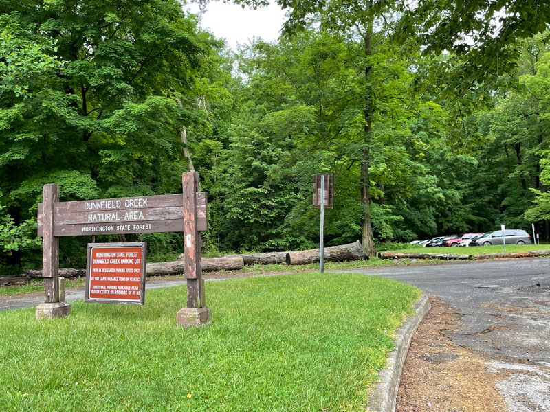 Parking Logistics And Alternatives