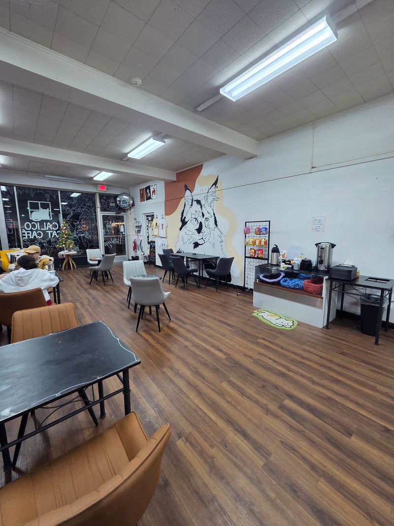 Pastry Case Secrets Worth Nibbling