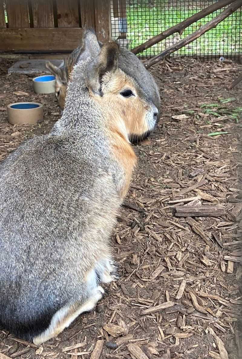 Respectful Visitor Etiquette