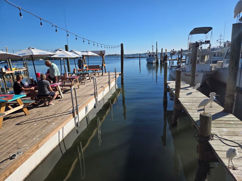 Watching The Working Docks