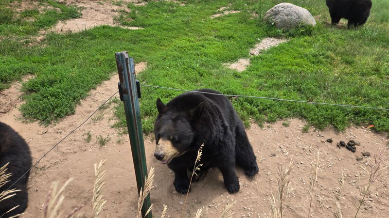 Educator’s Corner and School Visits