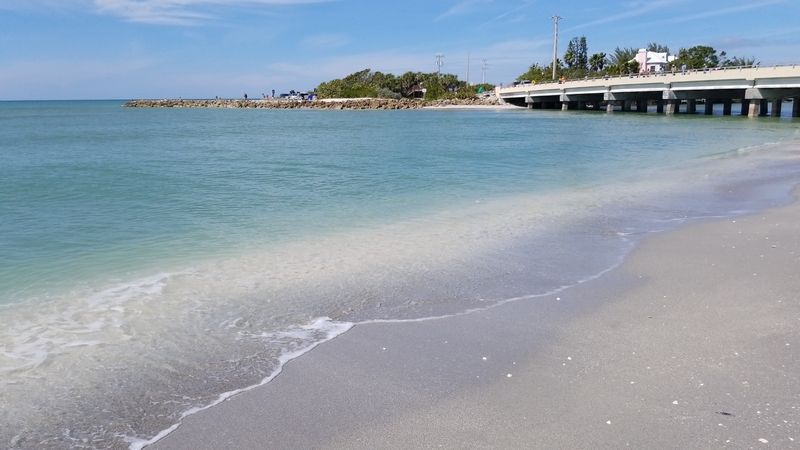 Bringing Your Dog Along for the Walk