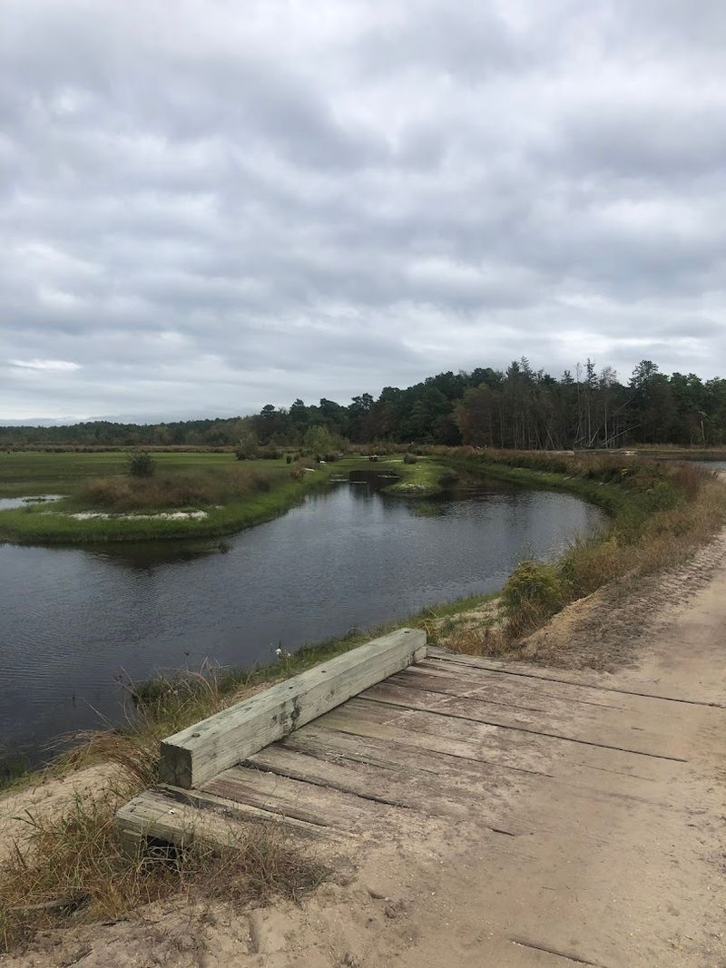 The New Jersey Pinelands Connection