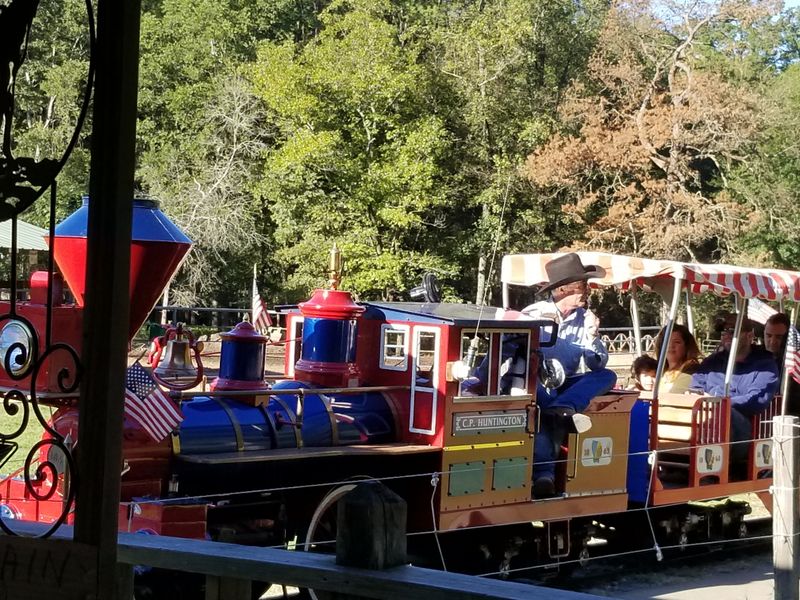 Family-Friendly Features