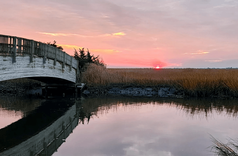 Practical Gear and Prep