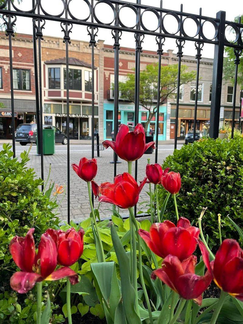 Holland's Downtown and 8th Street