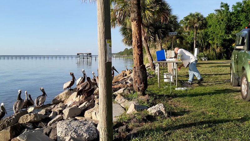 Fishing From Pier To Surf